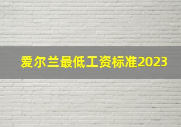 爱尔兰最低工资标准2023