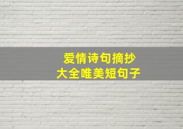 爱情诗句摘抄大全唯美短句子