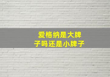 爱格纳是大牌子吗还是小牌子