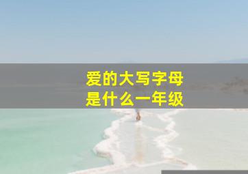 爱的大写字母是什么一年级