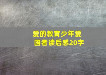 爱的教育少年爱国者读后感20字