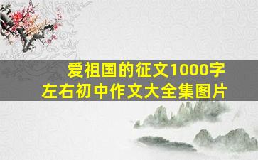 爱祖国的征文1000字左右初中作文大全集图片