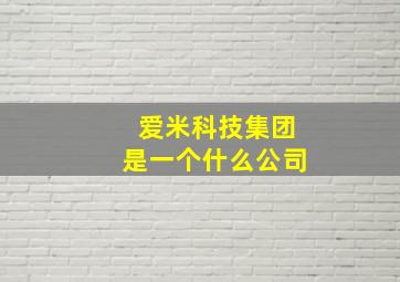 爱米科技集团是一个什么公司