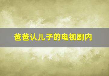 爸爸认儿子的电视剧内