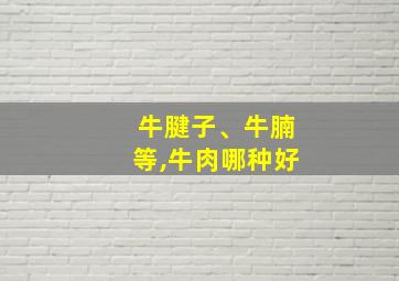 牛腱子、牛腩等,牛肉哪种好