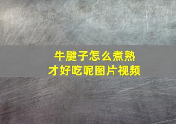 牛腱子怎么煮熟才好吃呢图片视频