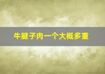 牛腱子肉一个大概多重