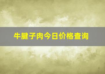 牛腱子肉今日价格查询