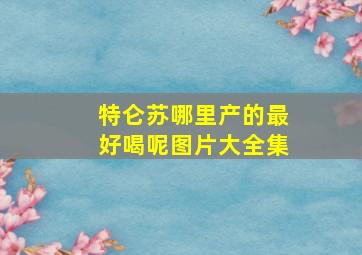 特仑苏哪里产的最好喝呢图片大全集