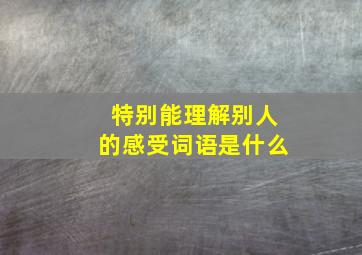 特别能理解别人的感受词语是什么