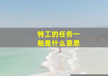 特工的任务一般是什么意思