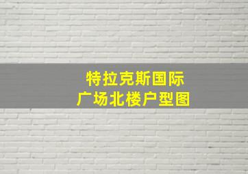 特拉克斯国际广场北楼户型图