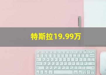 特斯拉19.99万