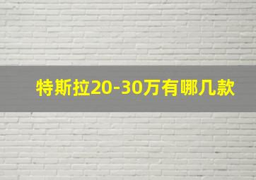 特斯拉20-30万有哪几款