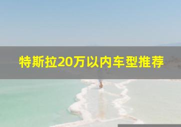 特斯拉20万以内车型推荐