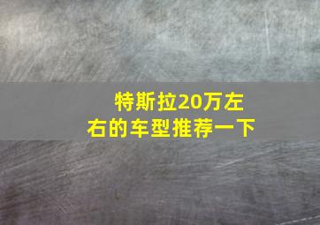 特斯拉20万左右的车型推荐一下