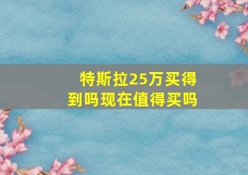 特斯拉25万买得到吗现在值得买吗