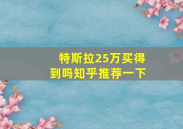 特斯拉25万买得到吗知乎推荐一下