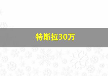 特斯拉30万