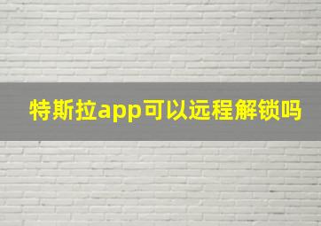 特斯拉app可以远程解锁吗