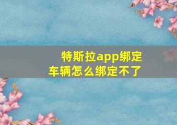 特斯拉app绑定车辆怎么绑定不了