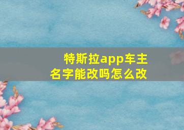 特斯拉app车主名字能改吗怎么改