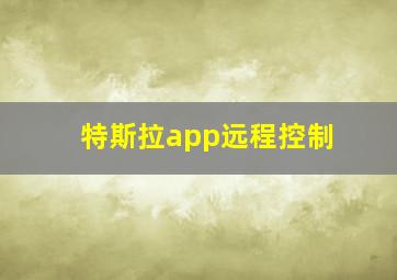 特斯拉app远程控制