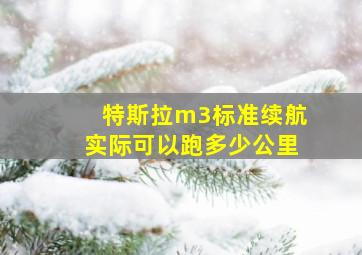 特斯拉m3标准续航实际可以跑多少公里