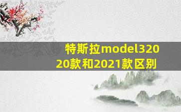 特斯拉model32020款和2021款区别