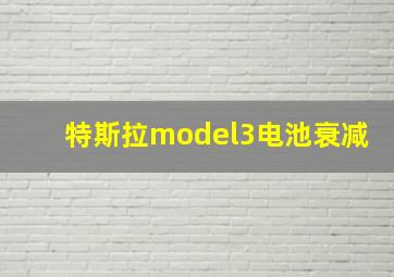 特斯拉model3电池衰减