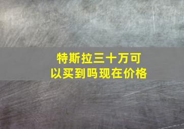 特斯拉三十万可以买到吗现在价格