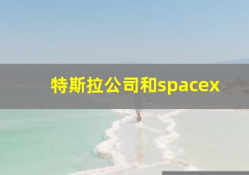 特斯拉公司和spacex