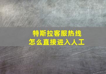 特斯拉客服热线怎么直接进入人工