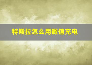 特斯拉怎么用微信充电