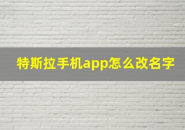 特斯拉手机app怎么改名字