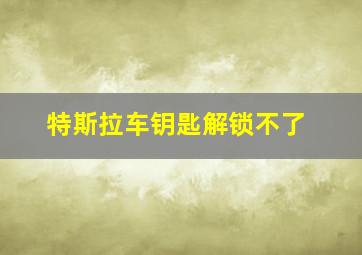 特斯拉车钥匙解锁不了