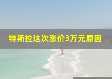 特斯拉这次涨价3万元原因