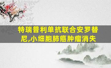 特瑞普利单抗联合安罗替尼,小细胞肺癌肿瘤消失