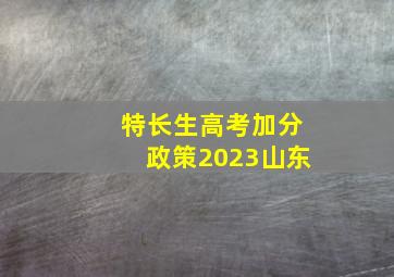 特长生高考加分政策2023山东