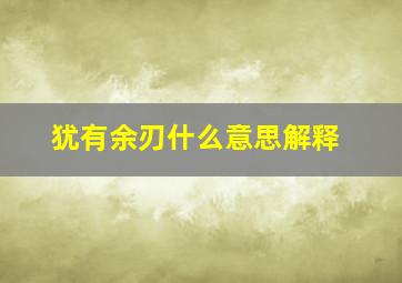 犹有余刃什么意思解释