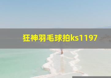 狂神羽毛球拍ks1197