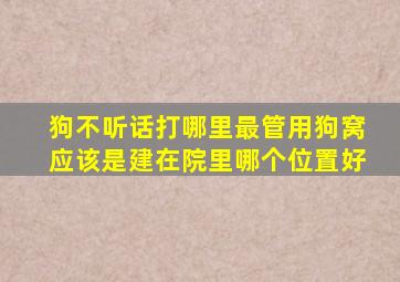 狗不听话打哪里最管用狗窝应该是建在院里哪个位置好