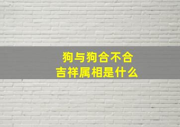 狗与狗合不合吉祥属相是什么