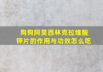 狗狗阿莫西林克拉维酸钾片的作用与功效怎么吃