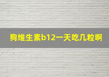 狗维生素b12一天吃几粒啊