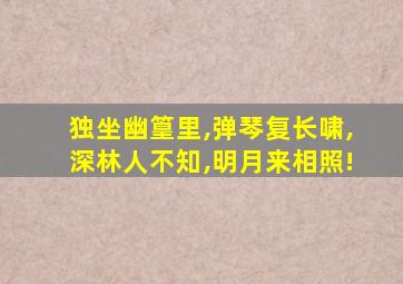 独坐幽篁里,弹琴复长啸,深林人不知,明月来相照!