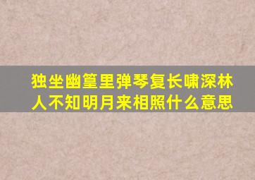 独坐幽篁里弹琴复长啸深林人不知明月来相照什么意思