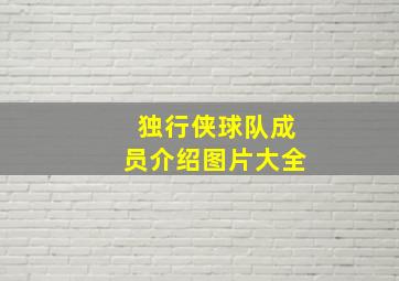 独行侠球队成员介绍图片大全