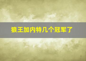 狼王加内特几个冠军了