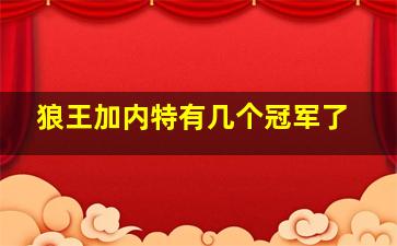 狼王加内特有几个冠军了